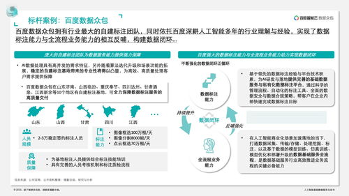 德勤咨詢 人工智能基礎(chǔ)數(shù)據(jù)服務(wù)與軟件開(kāi)發(fā)白皮書