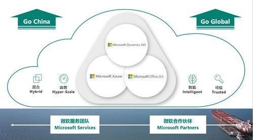 微軟智能商業(yè)云中國區(qū)戰(zhàn)略解析 Dynamics 365 發(fā)布會獨(dú)家揭秘與軟件開發(fā)新機(jī)遇
